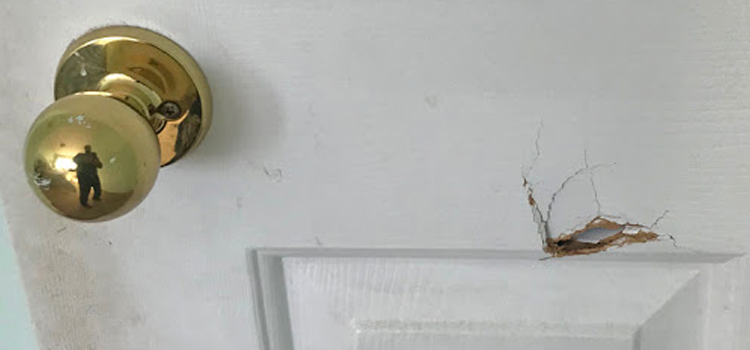 interior door hole repair Kerman